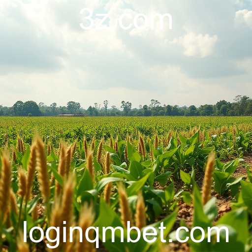 Impacto da Tecnologia na Economia Brasileira