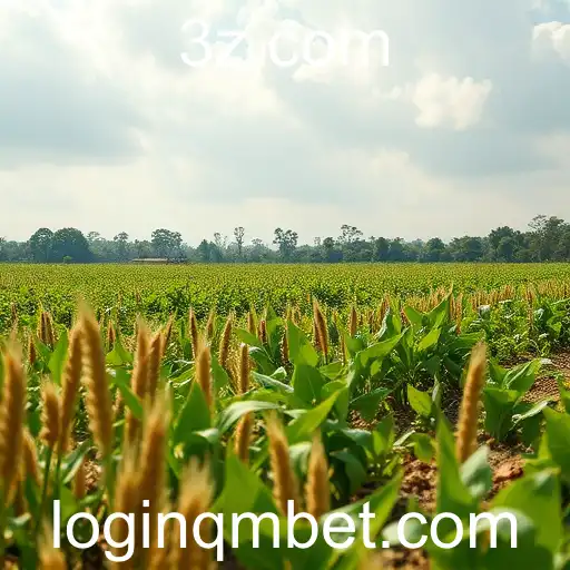 Impacto da Tecnologia na Economia Brasileira